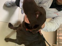 -百信宠物医院(东升街店)