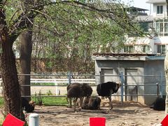 -西安秦岭野生动物园