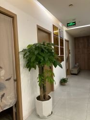 -御品•瑶浴灸疗SPA
