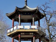 -莲花池公园