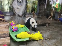 -海南热带野生动植物园