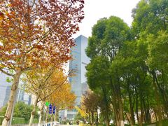 -重庆市江北嘴中央商务区中央公园