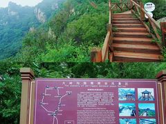 -大岭沟猕猴桃谷风景区
