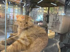 -弓舍射箭俱乐部(高新总店)