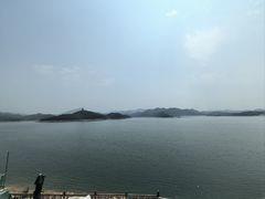 -望湖烤鱼