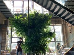 -了不起的考拉咖啡店(高新店)