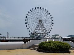 -秦皇岛乐岛海洋王国