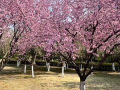 -白塘生态植物园