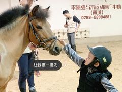 -李振强马术运动推广中心(南城店)