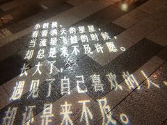 -映月湖中央公园