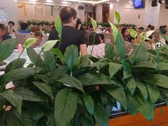 -巴音浩日娲·蒙餐(双林东路店)
