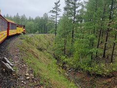 -莫尔道嘎国家森林公园