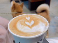 -LOOOAD COFFEE进度条(D9街区店)