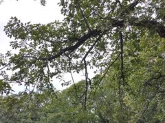 -狼牙山风景区