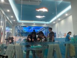 -鲸鱼堡亲子恒温泳池游泳俱乐部(彰泰天街店)