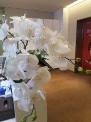 -Yestar艺星医疗美容医院