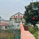 在庭院里吃全羊宴真的好惬意～