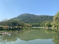 -八卦田遗址公园