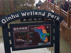 -溱湖国家湿地公园