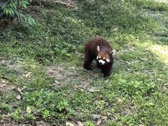 -宁波野生动物园