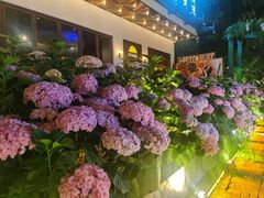 -现代居酒屋ATELIER IZAKAYA