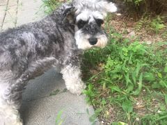 -北京赛佳动物医院