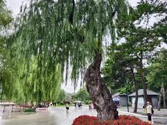 -长春市南湖公园