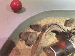 -正佳雨林生态植物园