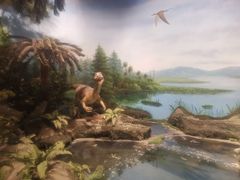 -辽宁古生物博物馆