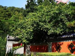 -潭柘寺景区