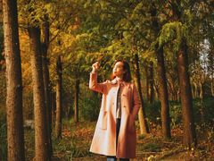 -昆山城市生态森林公园