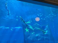 -南昌融创海世界