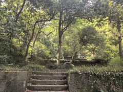 -杭州黄龙洞