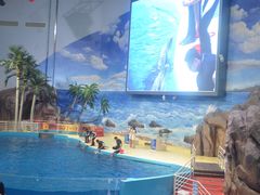 -福州罗源湾海洋世界旅游区