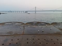 -星海广场