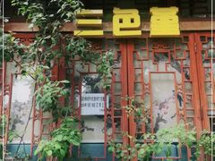 -三色堇(小通巷店)