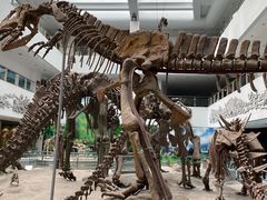 -中国地质大学逸夫博物馆