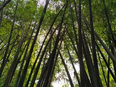 -成都杜甫草堂博物馆