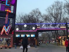 -枫花园汽车电影院(朝阳公园店)