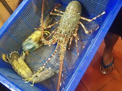 -班赞海鲜市场
