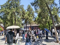 -洛阳白马寺