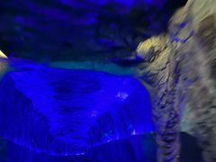 -天河潭旅游度假区