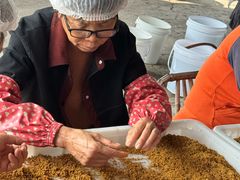 -苏州市吴中区光福窑上花果蜜饯厂