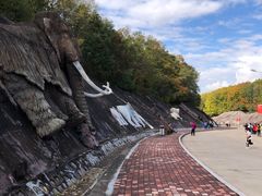 -哈尔滨北方森林动物园