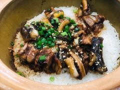 -红星光发煲仔饭(文海店)