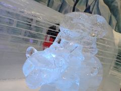 -长沙湘江冰雪世界