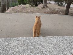 -贮水山儿童公园