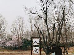 -北坞公园