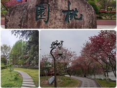 -泰州站