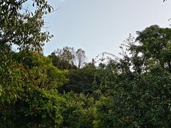 -腾冲洞山温泉村